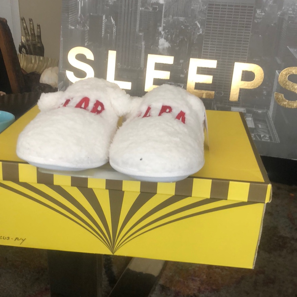 Papa bear men slippers